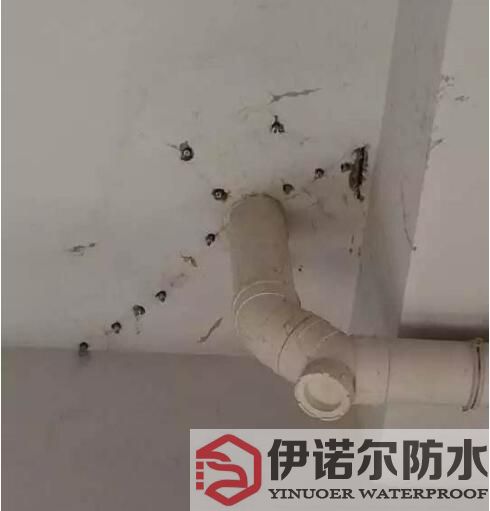 相城蘇州防水工程的基本內容是什么？